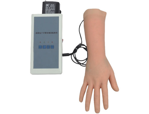 <b>高级电子手部静脉穿刺训练模型</b>